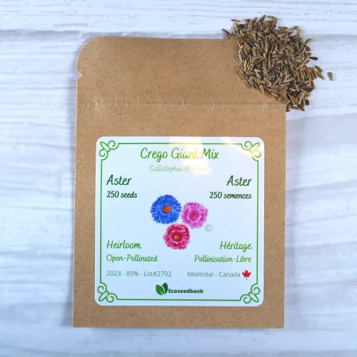 Crego Giant Mix Aster Seeds