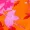 Pink And Orange Floral Printed High Neck Tie Front Playsuit