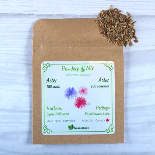 Powderpuff Mix Aster Seeds